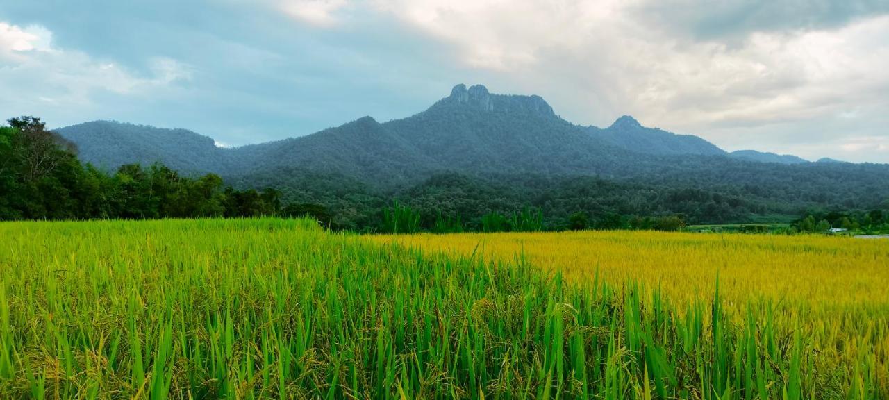 Pimpisa Garden พิมพิศา การ์เด้นท์ Villa Khuang Kom Eksteriør billede